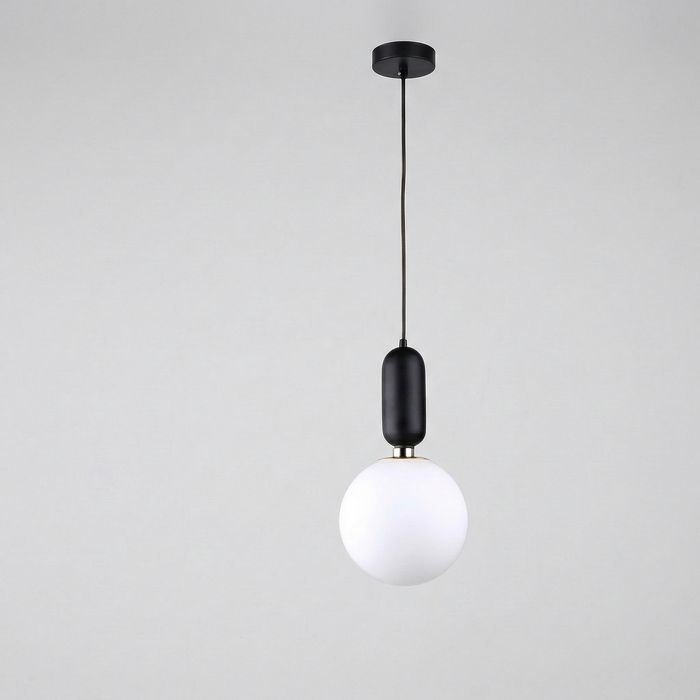 Suspension globe verre dépoli noir — Lorraine